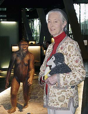 Jane Goodall con un mono de peluche