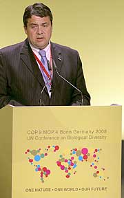 El ministro alemán de Medio Ambiente, Sigmar Gabriel, se dirige a los delegados al comienzo de la Cumbre. (Foto: EFE)