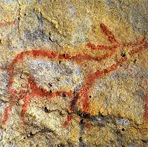 Una cierva roja en la cueva de Covalanas, en una de las cuevas cántabras Patrimonio de la Humanidad desde ahora. (Foto: EFE)