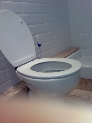 1216966565_1.jpg
