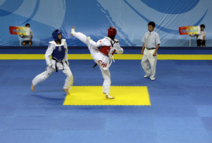 Los colores en un combate de Taekwondo