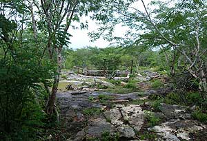 Entrada de lo que arqueólogos mexicanos suponen la red subterránea de cuevas que los antiguos mayas. (Foto: EFE)