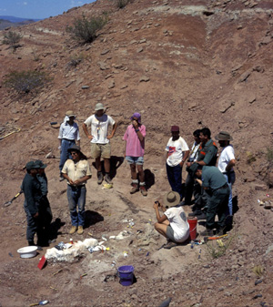 Excavaciones en Mendoza. (Foto: REUTERS)