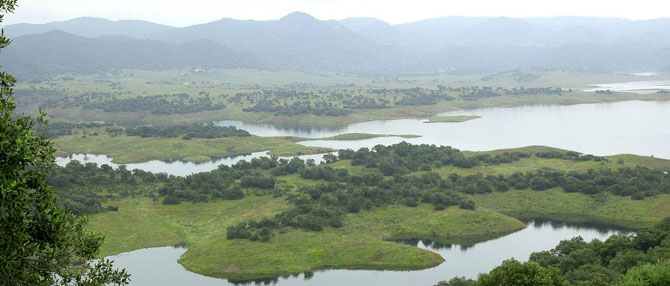 Comarca de Guadalmellato, Córdoba, donde serán liberados los primeros linces en 2009. (Foto: Junta de Andalucía) Comarca de Guadalmellato, Córdoba, donde serán liberados los primeros linces en 2009. (Foto: Junta de Andalucía)