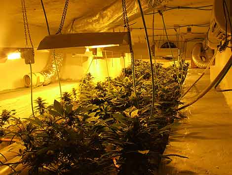 Imagen del recinto donde escond&iacute;an la marihuana. | F. Pe&ntilde;alosa
