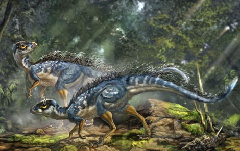 Recreación de un 'Tianyulong confuciusi'm, un dinosaurio con plumas encontrado en China. / Nature