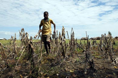 Niño en los campos de maíz arrasados por el agua, en la aldeda de Liyoyelo (Zambia): / Intermon Oxfam