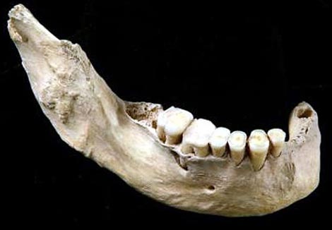 Mandíbula del 'Homo sapiens' primitivo de China. / E. Trinkaus