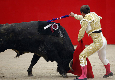 Las banderillas se adhieren al toro con velcro para que no haya sangre. | Reuters