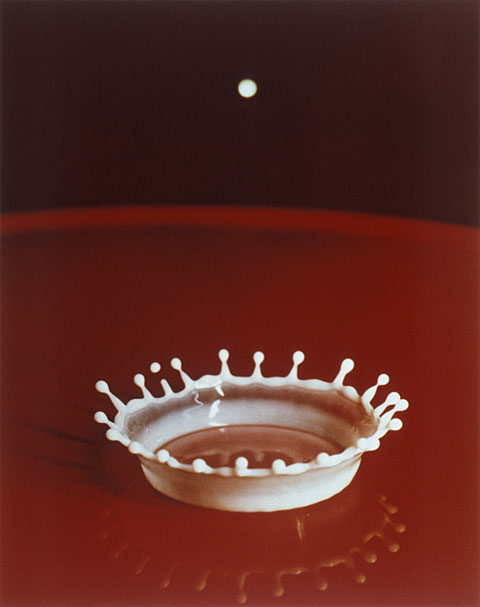 Corona de gotas de leche, 1957. | Palm Press. Edgerton Foundation
