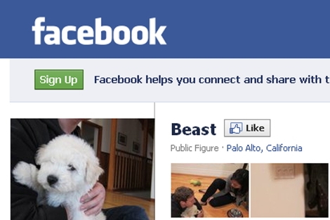Pantalla de la página de Beast, el perro de Mark Zuckerberg, en Facebook.