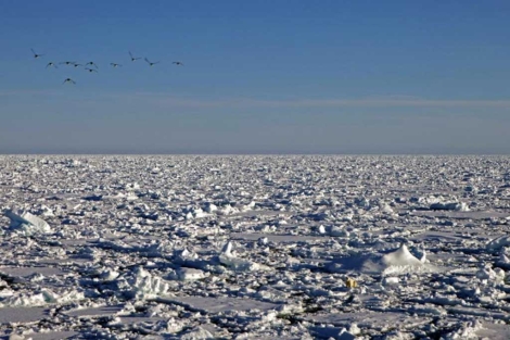Capa de Hielo del Océano Glaciar Ártico. | M. Vidal/CSIC