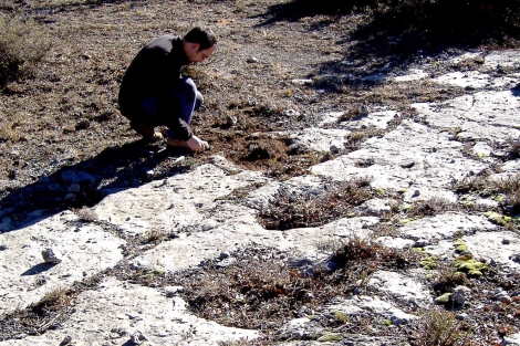 Huellas de los dinosaurios descubiertas en Teruel. |Dinópolis