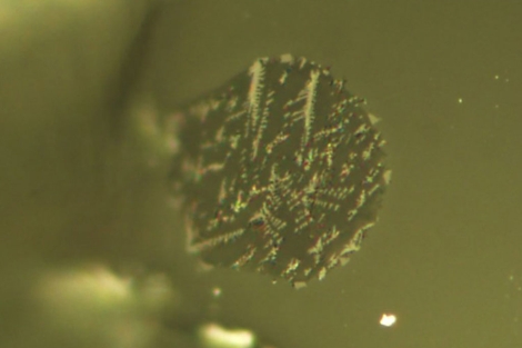 Vista microscópica de un fragmento de lava lunar.| 'Science'