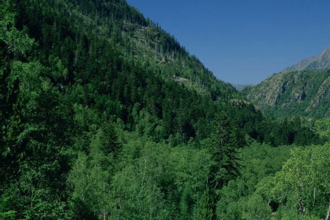 Paisaje de Valdecantos, en Soria.|MARM