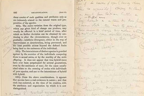 Anotaciones de Darwin en 'Los principios de Geología de Lyell'. | Universidad de Cambridge
