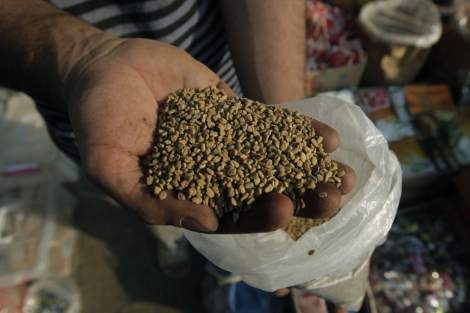 Un hombre muestra en El Cairo las posibles semillas que son origen de la contaminación. | AP