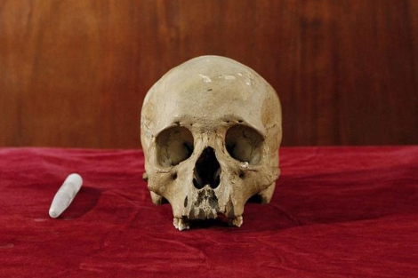 Cráneo de un humano americano.| EFE