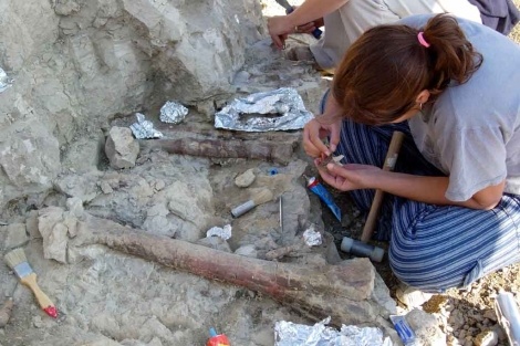 Trabajos en la excavación del año 2005. | Museu de la Conca Dellà