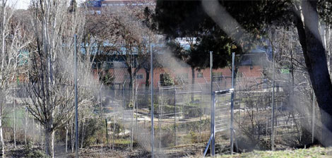 Complejo donde se encuentra situado el centro El Laurel, en Madrid. | EL MUNDO