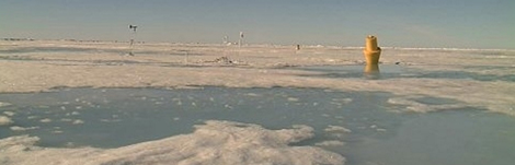 Imagen tomada por la web cam del Polo Norte en julio de 2010. | NOAA