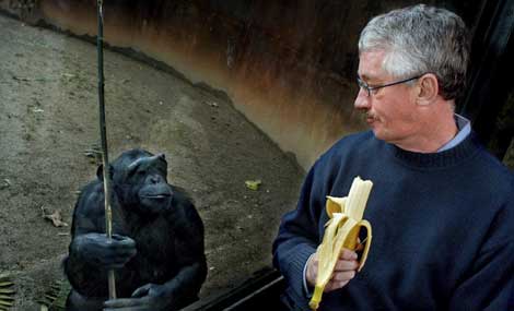 El primatólogo Frans de Waal junto a un chimpancé en una visita a Barcelona. | Xavier Cervera.