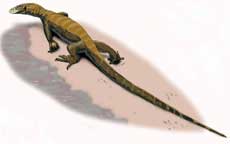 Dibujo del 'Arcanosaurus ibericus'. | Ical