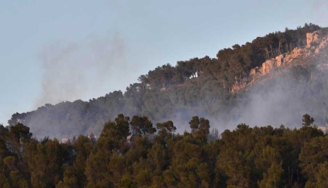 El fuego que afecta a un pinar en S'Arracó. | Alberto Vera