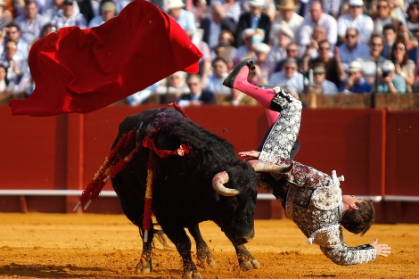 El Juli, tras ser cogido por el toro este viernes en La Maestranza. | Diego L.