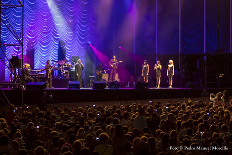 El público, entregado, durante el concierto de Julio Iglesias. | Pedro M. Morcillo