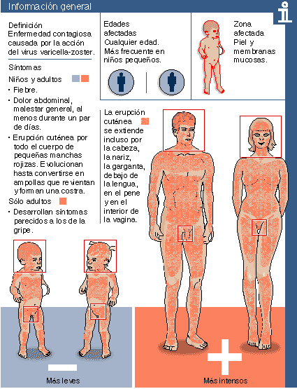 Los métodos del aumento del miembro viril del hombre