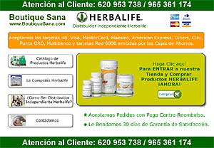 Imagen de la p�gina web de la empresa.