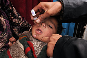 Un niño afgano recibe una dosis de la vacuna contra la polio. (Foto: AFP)