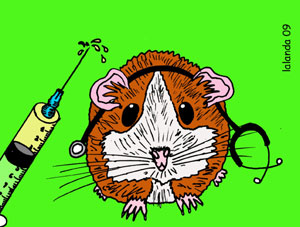 Ilustración de Mónica Lalanda Ilustración de Mónica Lalanda