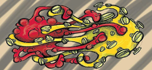 Ilustraci&oacute;n de Elena &Aacute;guila