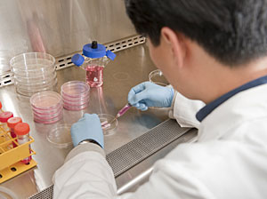 En el laboratorio, las c&eacute;lulas se inyectaron en un molde. (Foto: Anthony Atala)