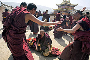 Monjes tibetanos, en el monasterio de Longwu. (Foto: AP)