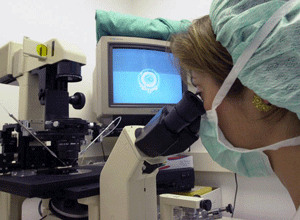 Una bióloga observando un embrión. (Foto: Justy)