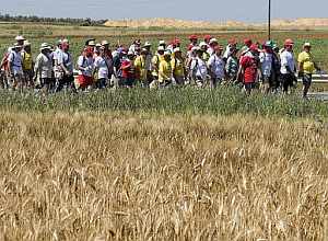 Los trabajadores de Delphi recorren el camino entre la localidad de Los Palacios y el barrio de Bellavista en la penúltima etapa. (Foto: EFE)