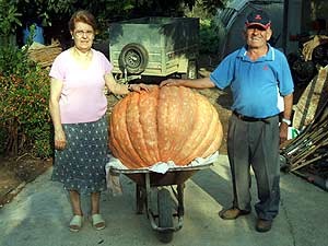 Primitivo G. Domingo, su esposa y la calabaza de 132 kilos. (Foto: Juan Carlos Domingo)