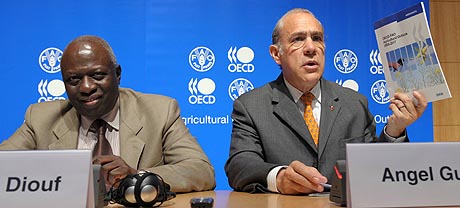 El director general de la FAO, Jacques Diouf (izq.) y el secretario general de la OCDE, &Aacute;ngel Gurr&iacute;a. (Foto: AFP)