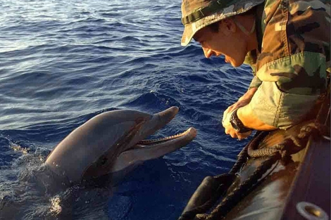 US Navy