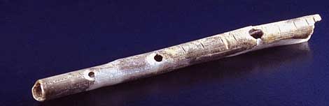 Flauta realizda con el hueso de un ave. | 'Journal of Human Evolution'