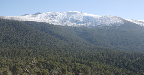 foto_audio_1_1.jpg